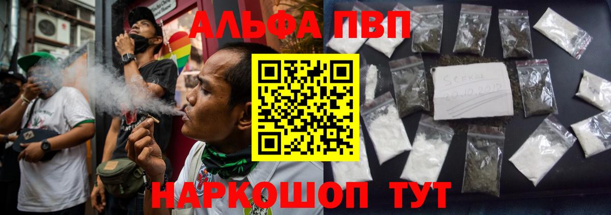 A-PVP СК КРИС Горно-Алтайск