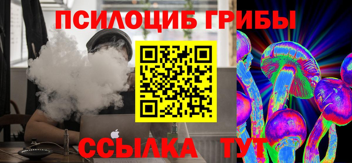 Горно-Алтайск  Галлюциногенные грибы Psilocybine cubensis  Галлюциногенные грибы Psilocybine cubensis  Вход с VPN 